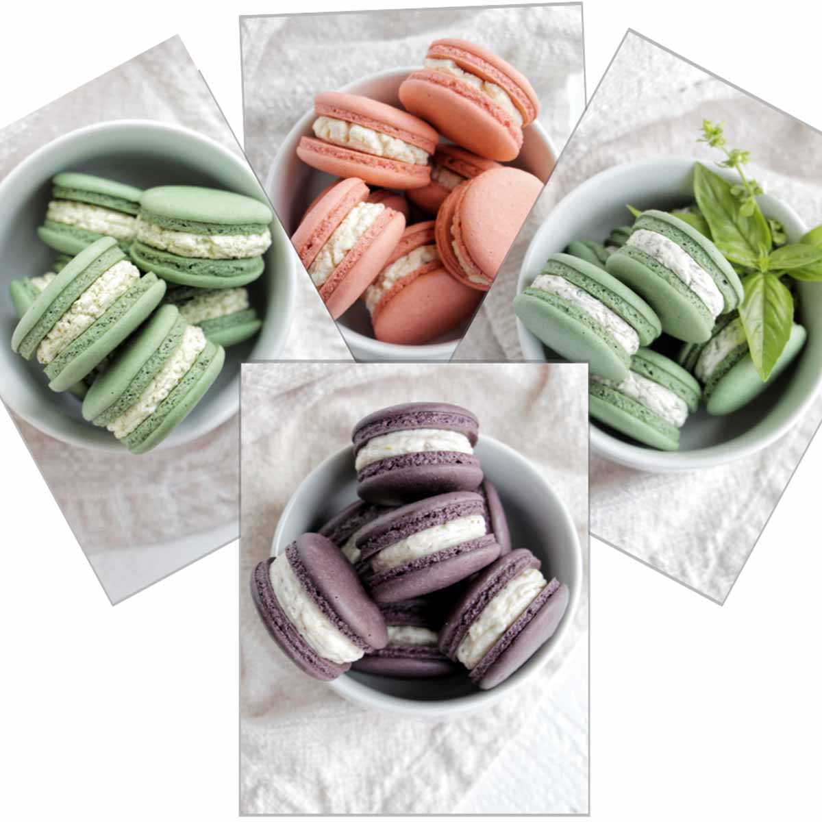 Various types of savory macarons