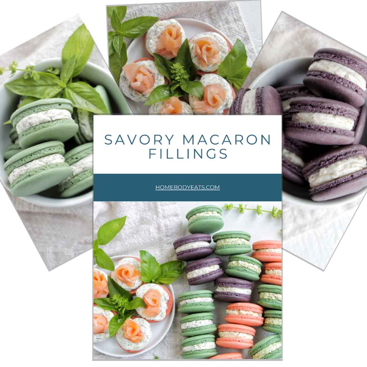 The Savory Macaron ebook cover with various types macarons.